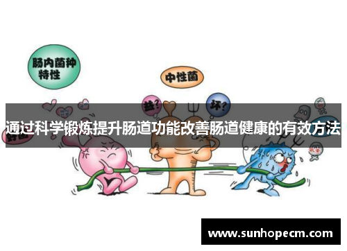 通过科学锻炼提升肠道功能改善肠道健康的有效方法