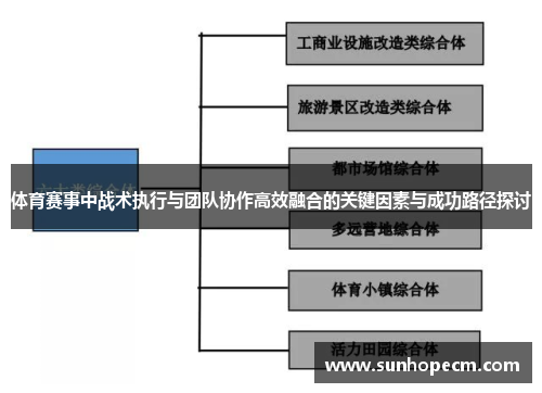 体育赛事中战术执行与团队协作高效融合的关键因素与成功路径探讨