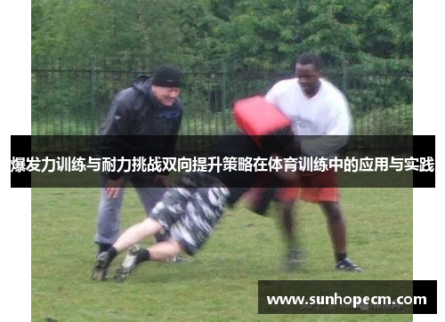 爆发力训练与耐力挑战双向提升策略在体育训练中的应用与实践